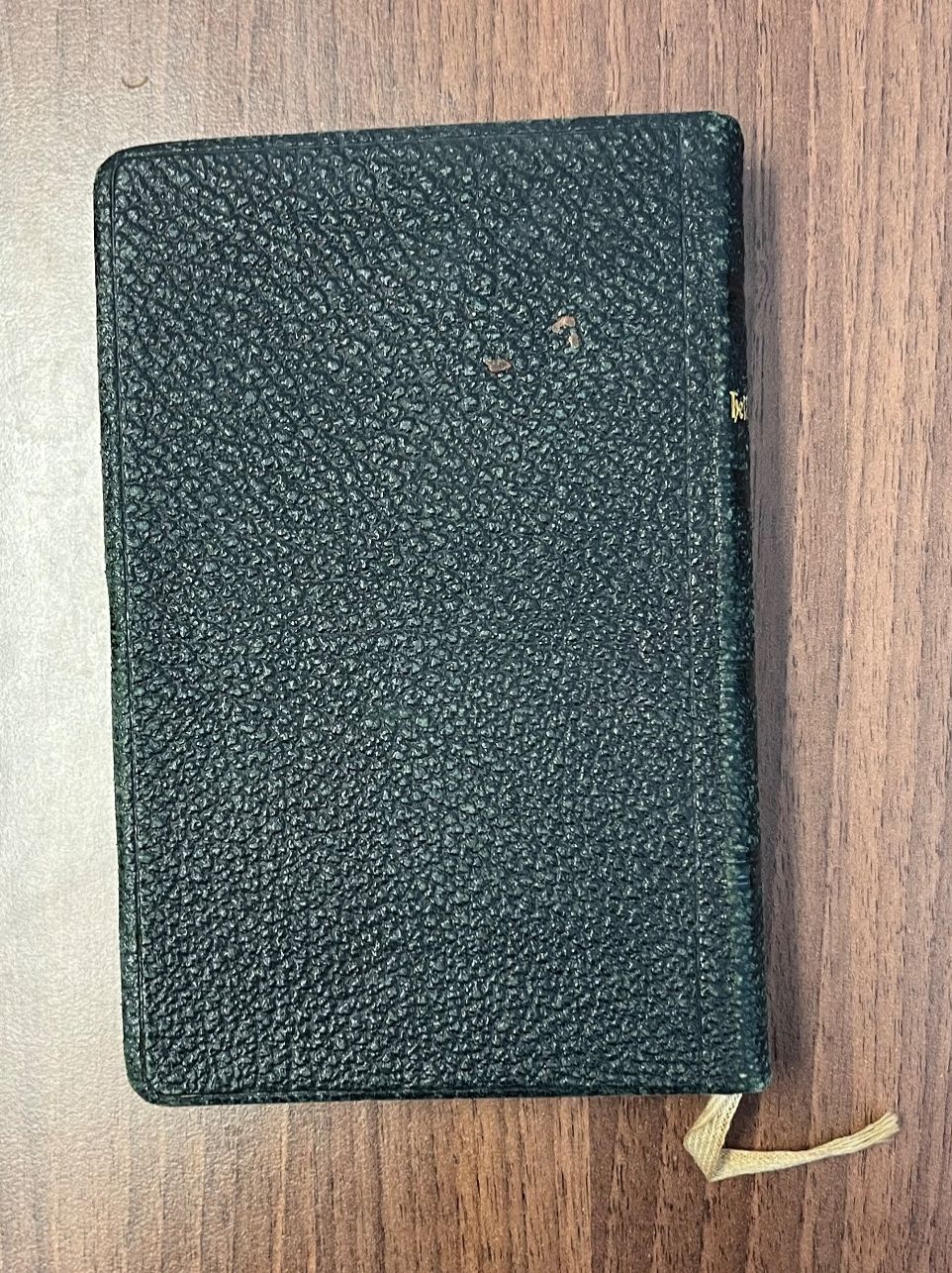 Libri: DIE BIBEL ODER HEILIGE SCHRIFT von Viktoria Knecht / 1916 – Usato da Islikon venduto da sav_m8xk 9