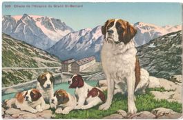 CHIENS de l'Hospice du GRAND ST.BERNARD 1926