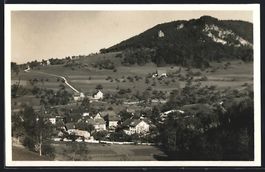 Zeglingen, Ortsansicht aus der Vogelscha