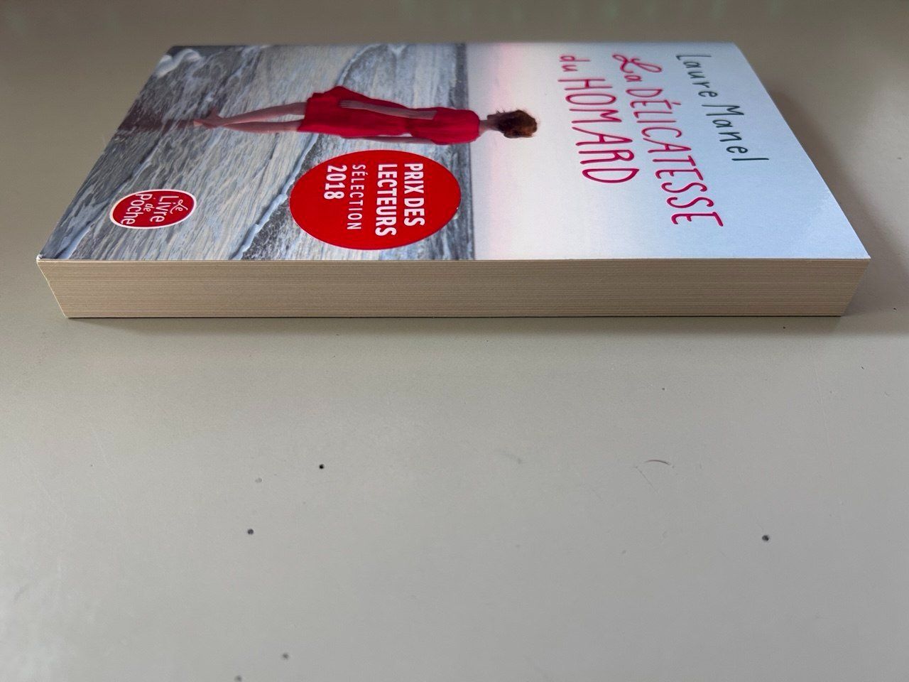 Libri: Libro "La délicatesse du homard" Laure Manel – Usato da Giubiasco venduto da LorisVale 3