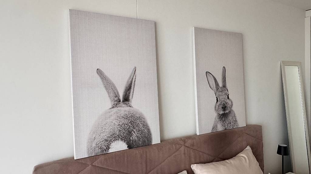 Posters & Illustrations: JUNIQE Leinwandbilder Hasen  2er Set – D'occasion à Uitikon Waldegg par eka_76f8