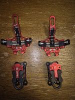 Plum race 170