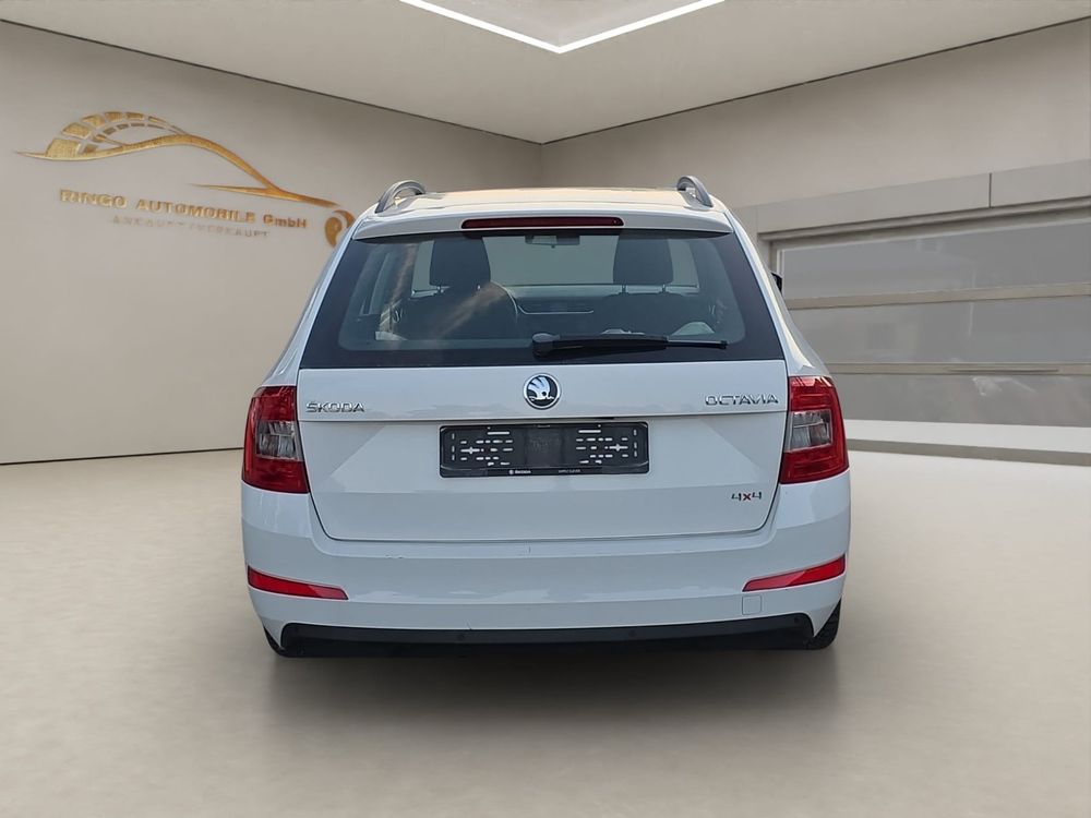 Skoda Automobili: Skoda Octavia 4x4 TDI Ab MFK – Usato da Safnern venduto da rin_vs57 5