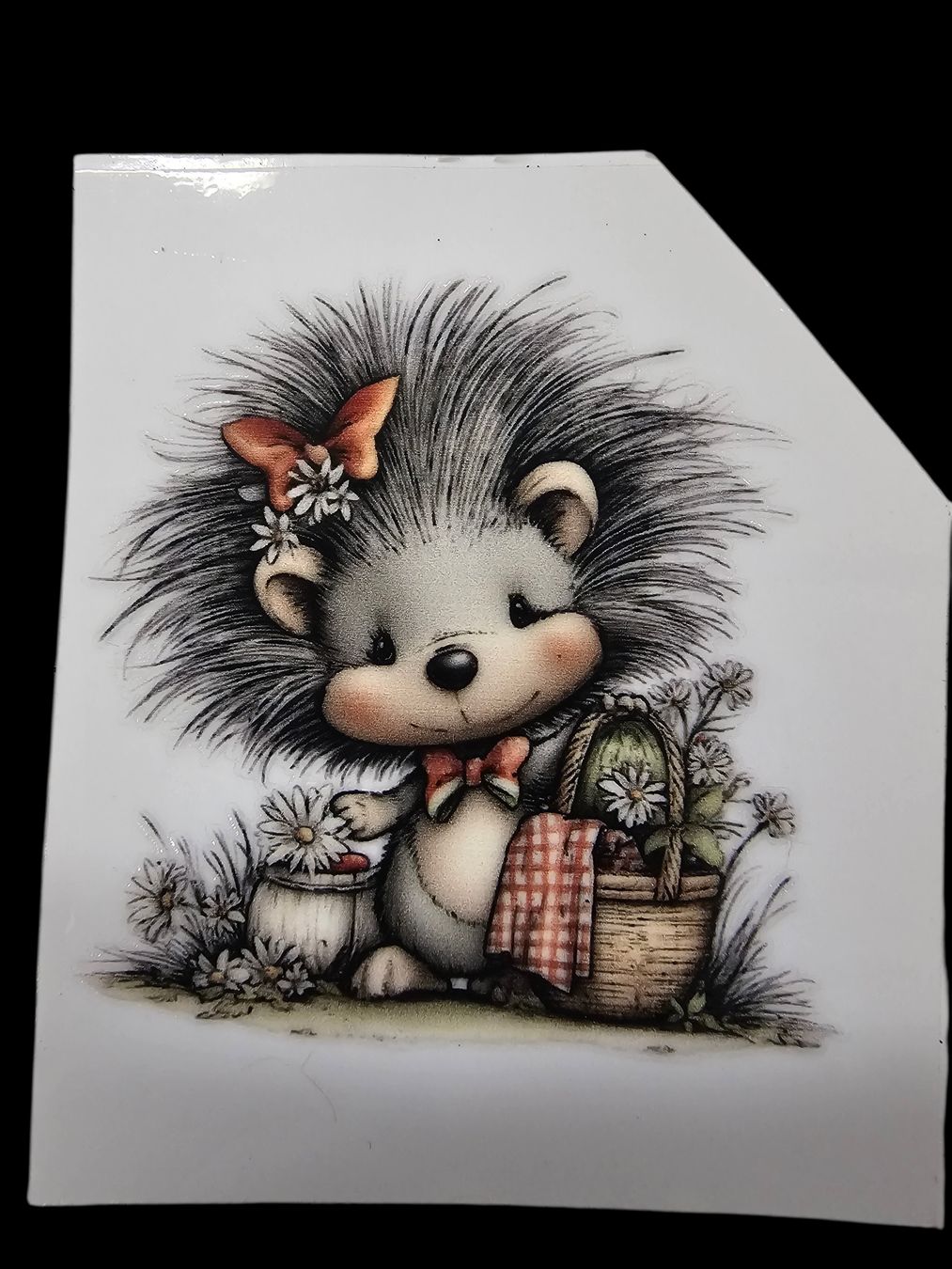 Tutte le decorazioni: Süsses Igelbild, Sommer Deko, 8er Set, NEU – Nuovo (secondo la descrizione) da Linthal venduto da KreativAtelie 7