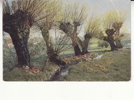 Künstlerkarte Landschaft 1907 mit ST St. Gallen