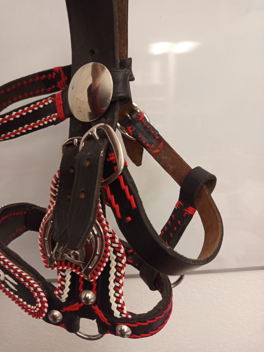 Briglie & Cavezze: Schow- Zier- Halfter, dickes Leder – Usato da Neyruz FR venduto da pri_gz79 5