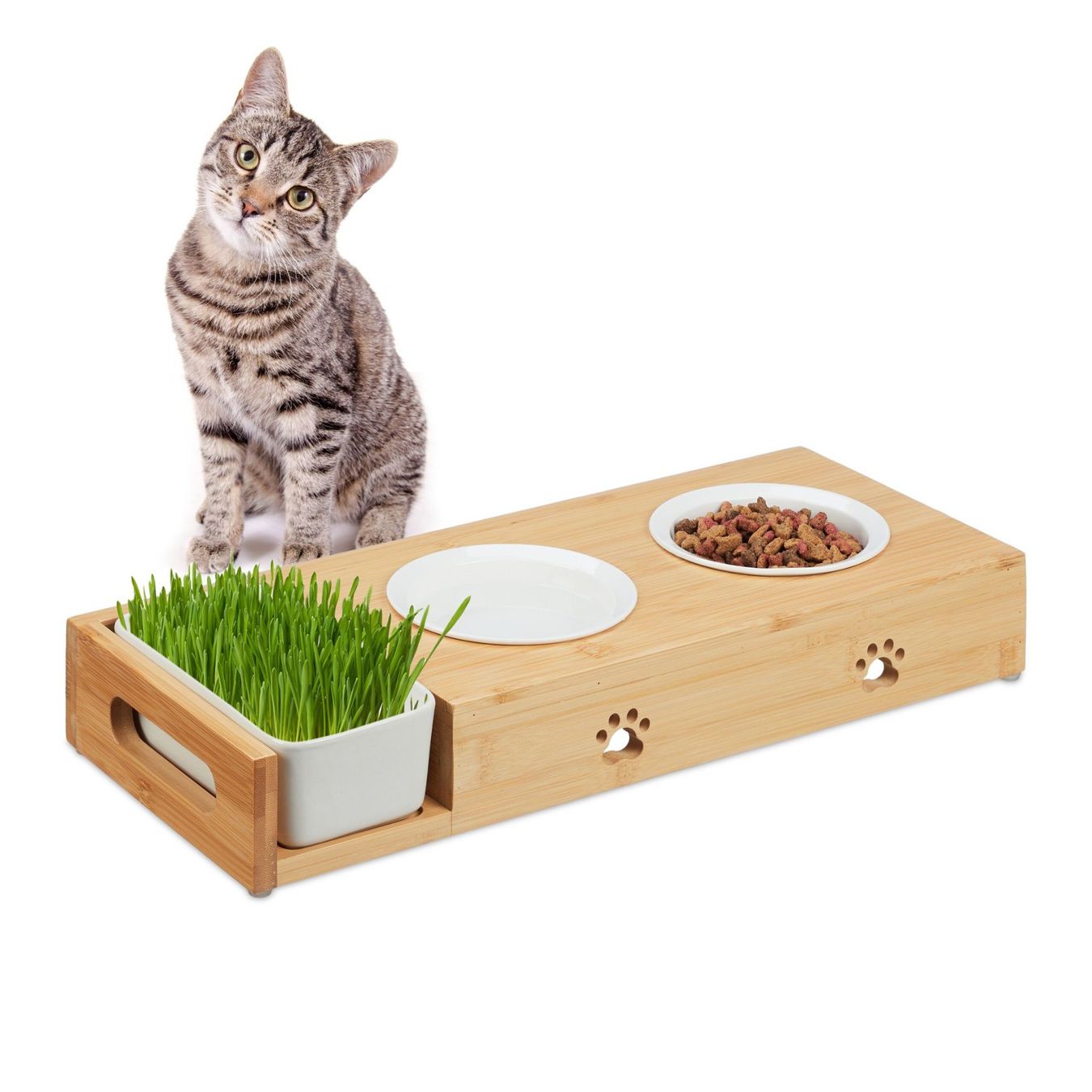 Ciotole: Katzenfutterstation & Katzengras Schale – Nuovo e nell'imballaggio originale da Gerlafingen venduto da Tsuru