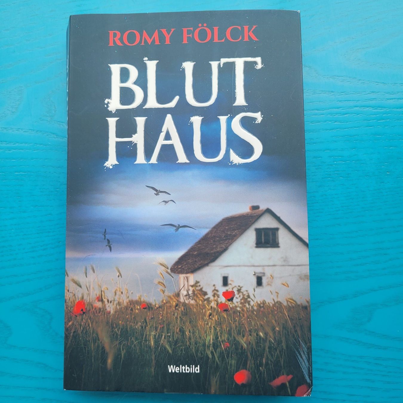 Libri: Romy Fölck - Bluthaus – Usato da SCHÜBELBACH venduto da CoKaHa