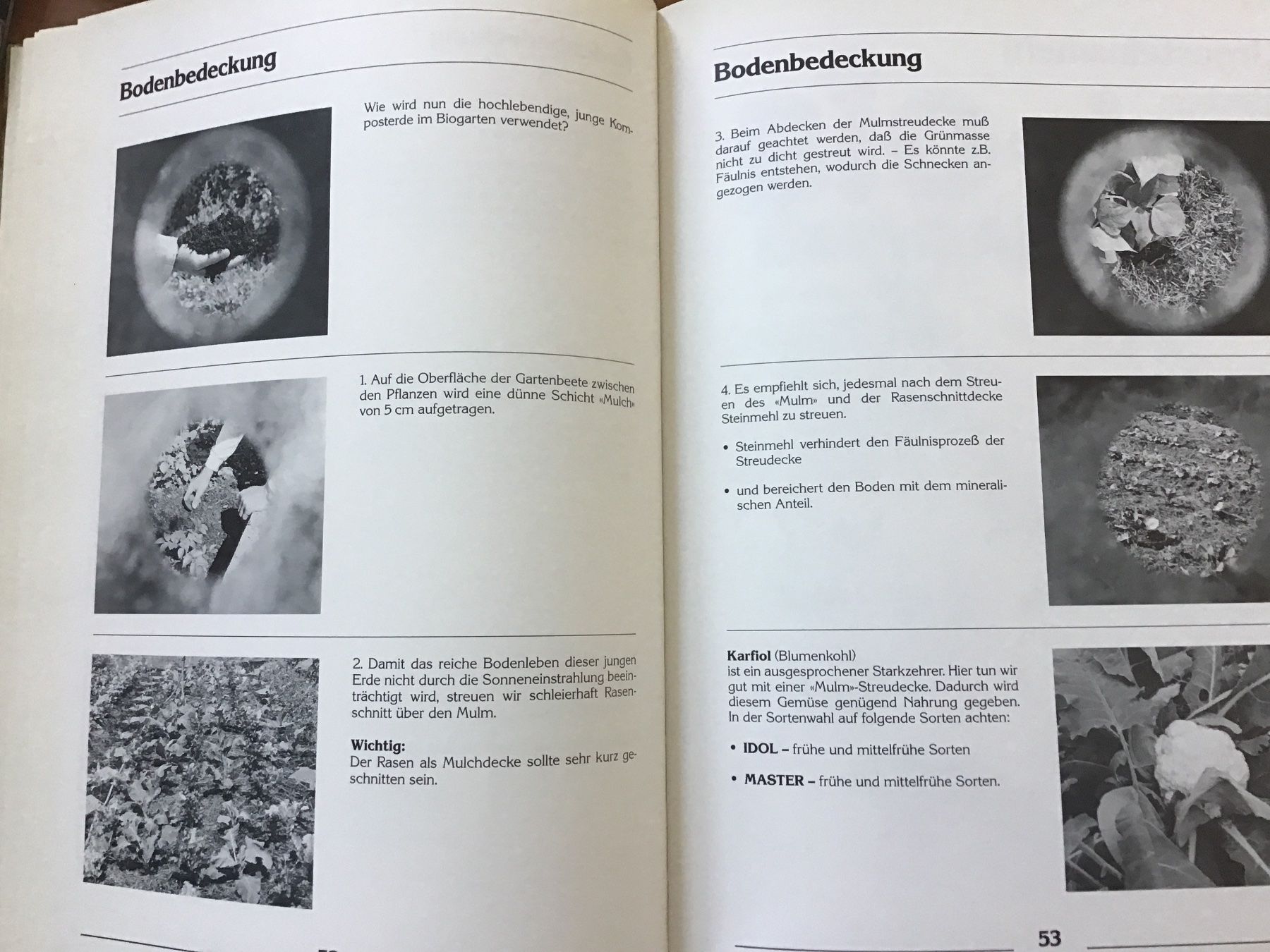 Libri: Freude und Erfolg im Biogarten – Usato da Kirchenthurnen venduto da Gluecksbrief 4