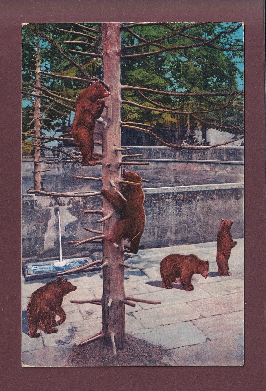 Cartoline postali: BERN - Bärengraben - 1943 – Usato da Pully venduto da nicecards