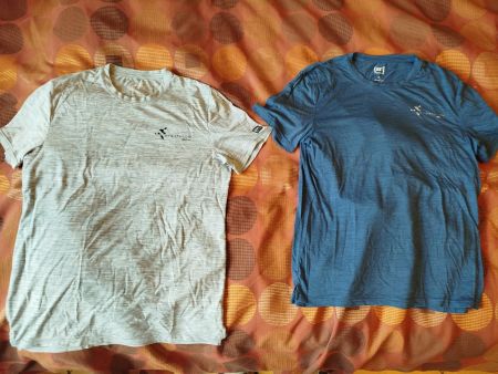 2 ETH Cybathlon T-Shirts 100% Merino Wolle