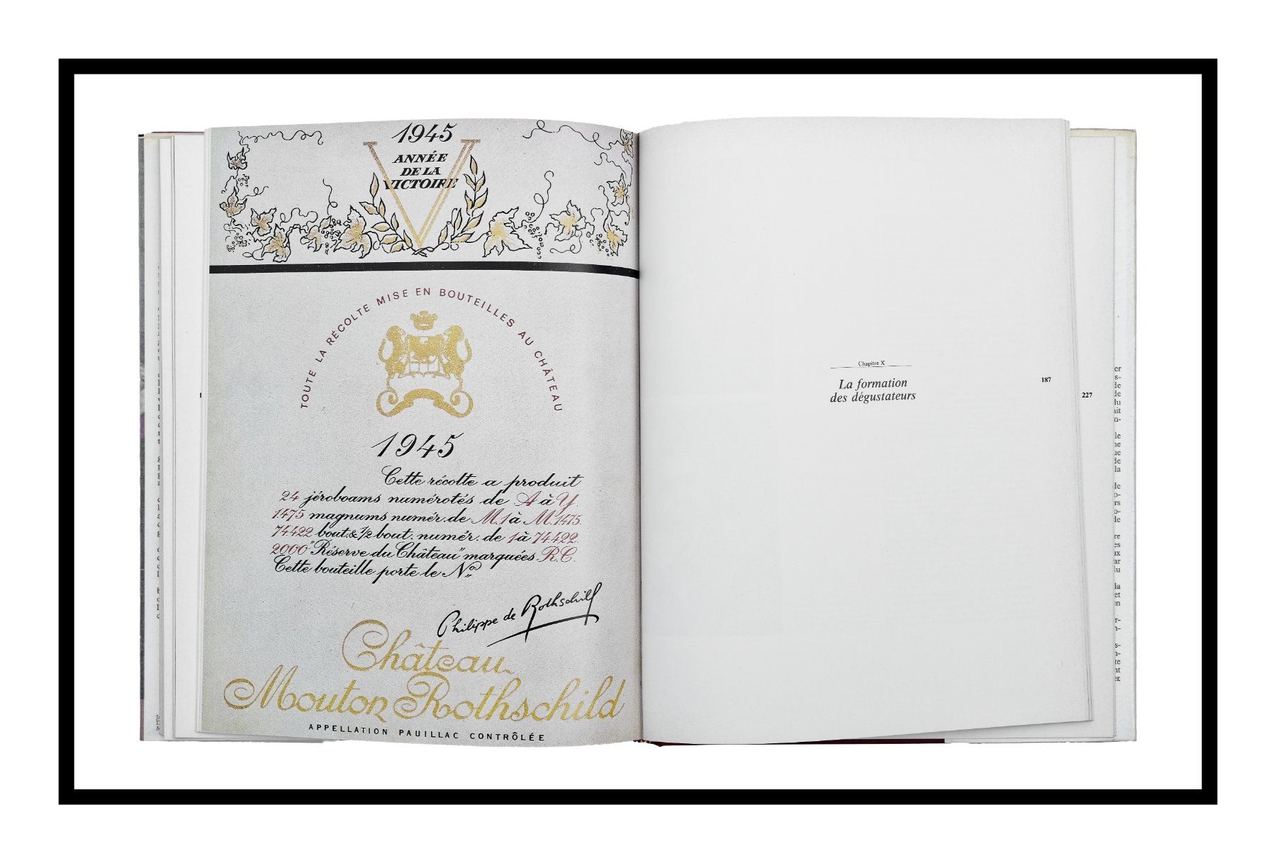 Libri: ÉMILE PEYNAUD "Le Goût du vin" 1re édition 1980 – Usato da Onex venduto da gonsla 8