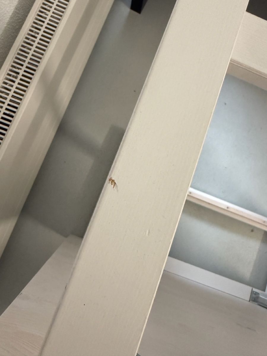 Ikea Mobili TV: Tv Tisch Ikea – Usato da Rudolfingen venduto da lev_9jgz 1