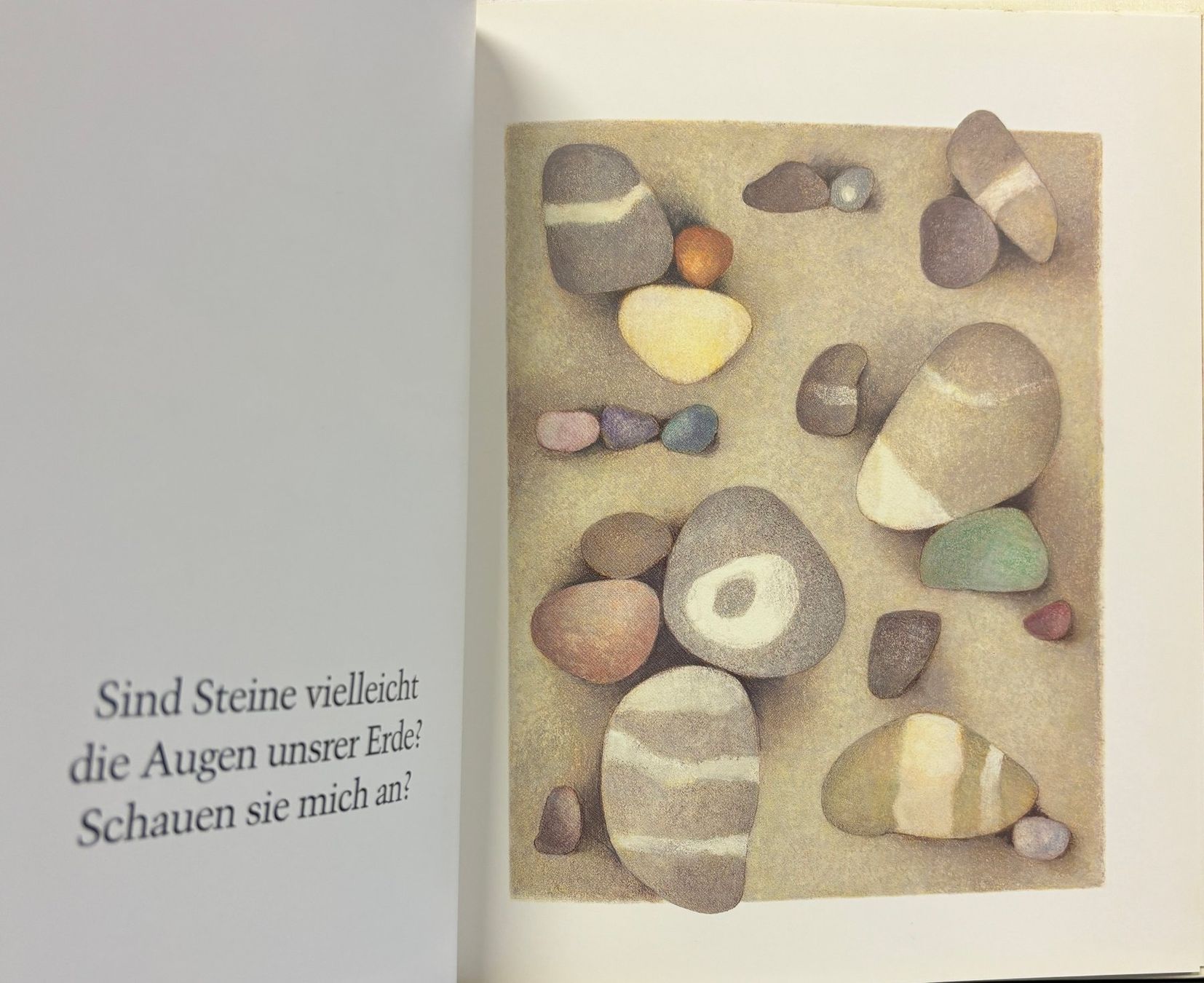 Libri: Heyduck-Huth Hilde, Erde - Ein Bilderbuch zum Stillwerden – Nuovo (secondo la descrizione) da Sarnen venduto da Livres 3