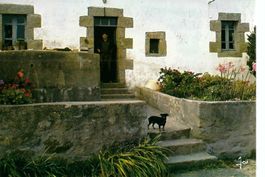 Frankreich Bretagne Marée Montante, Haus Hund