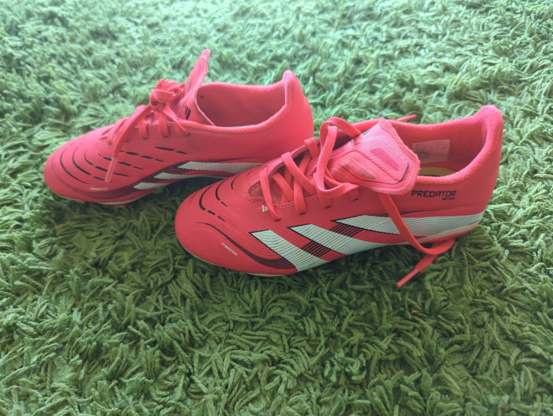 Adidas Scarpe da uomo: Adidas Predator Kinderfussballschuhe 35 – Usato da Rudolfstetten venduto da satya83 1