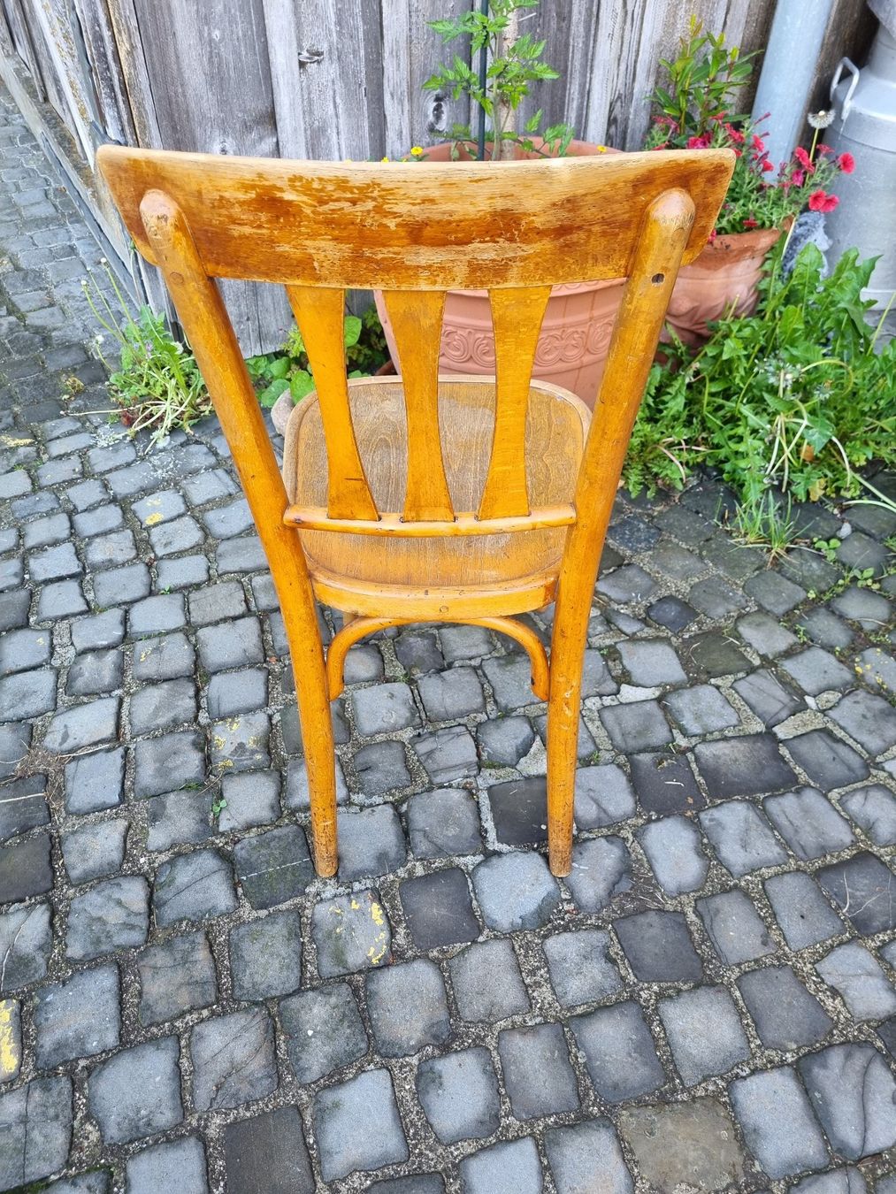 Horgen Glarus Sedie: Horgen Glarus Stuhl gut im Leim – Usato da Trachslau venduto da post35 2