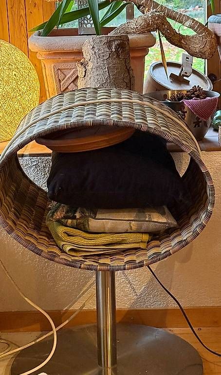 Arbres à chats: Design Kratzbaum Rattan – D'occasion à St. Gallen par chiarbr