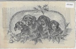 Vier Hunde Dackel - Handgemalte Karte