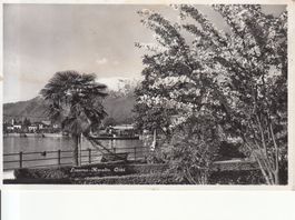 Muralto 1941