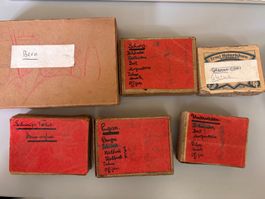 Lot Zinnsoldaten Schweiz antik