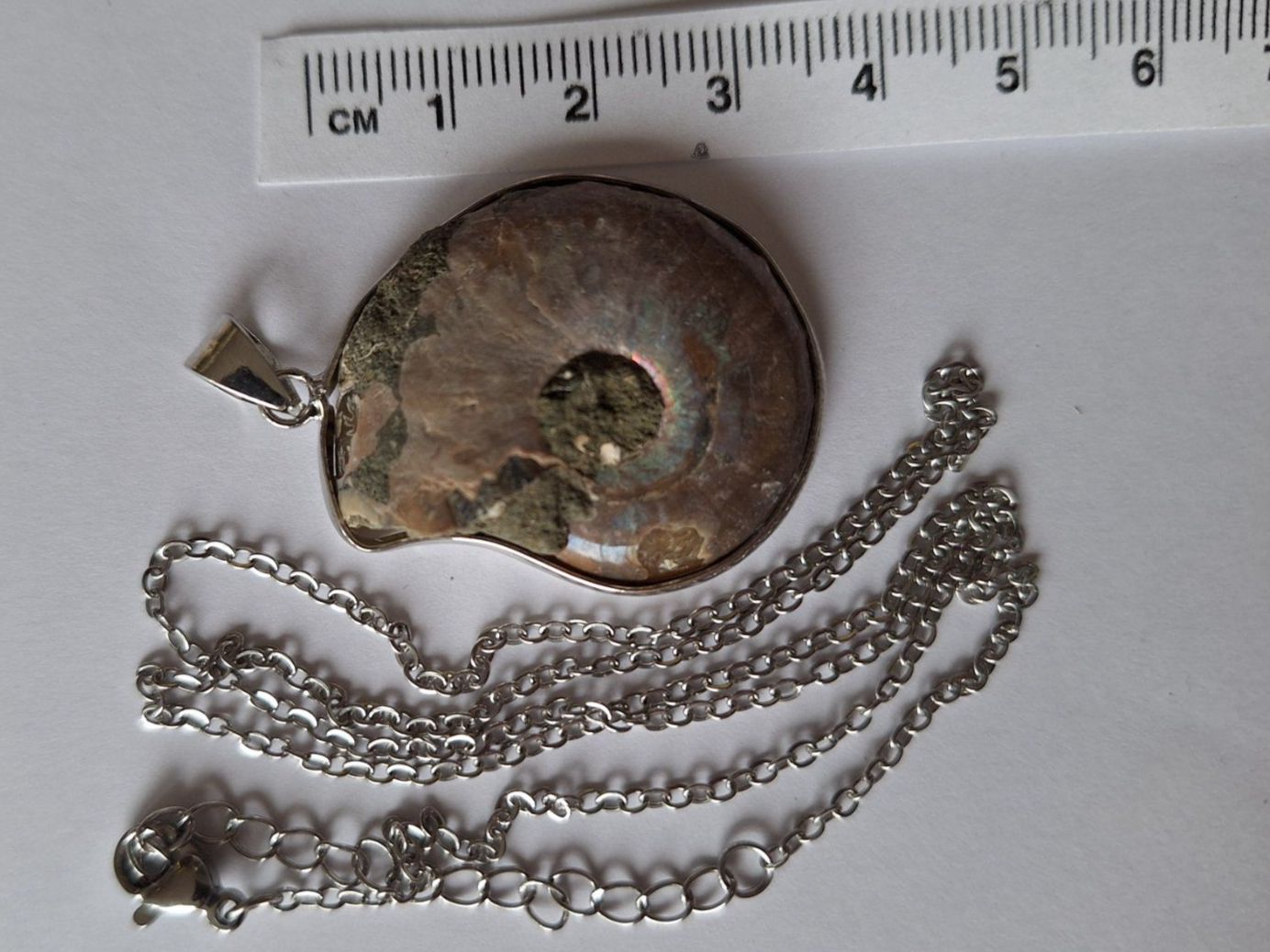 Anhänger: Fossil Anhänger Ammonit Halskette (1) – Neu (gemäss Beschreibung) aus Zürich von t24_de