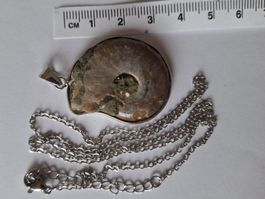Fossil Anhänger Ammonit Halskette (1)