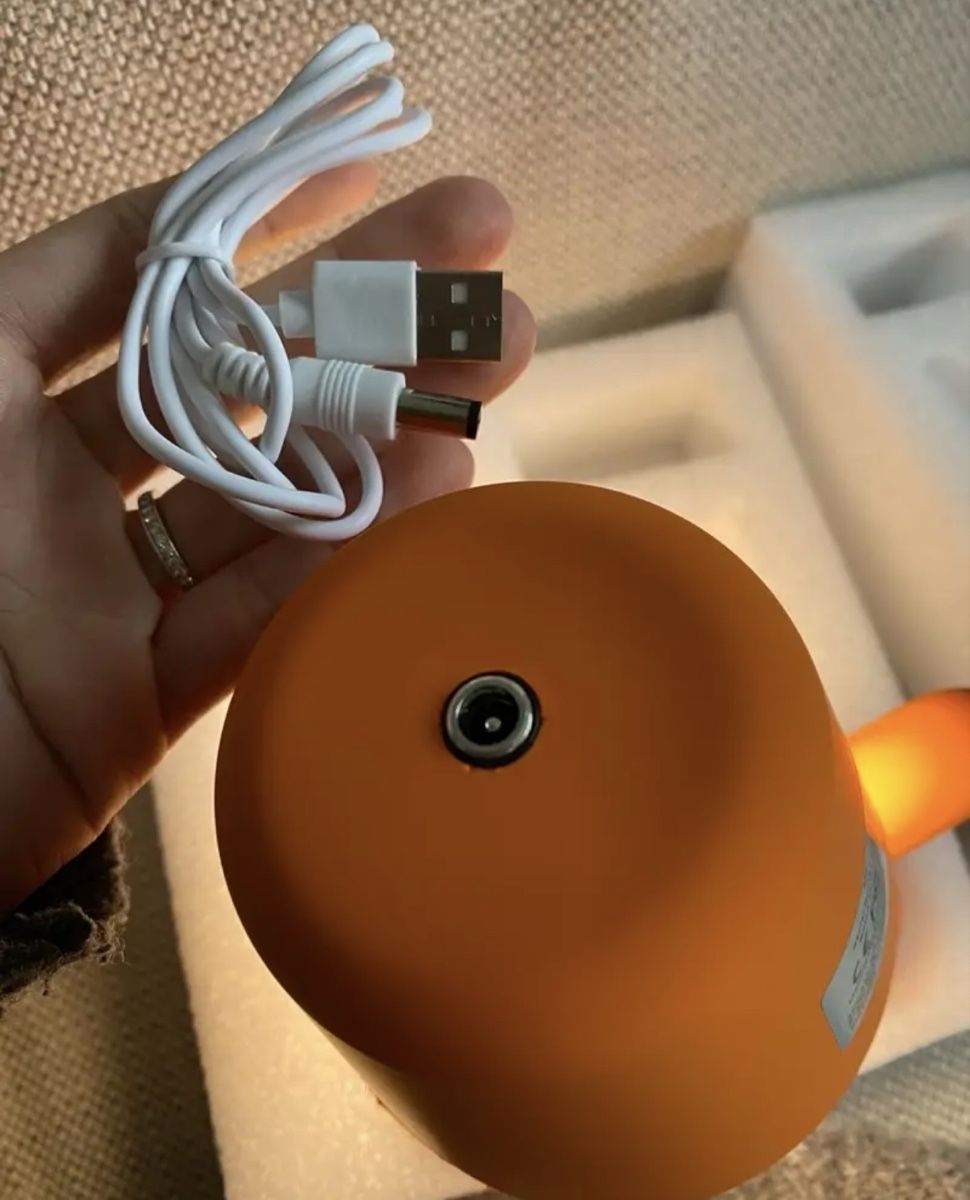 Lampade: Orange Ballonen Hund Lampe – Nuovo (secondo la descrizione) da Zürich venduto da Julia_Ch 2