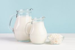 🥛 Milchkefir - Knollen gerne via Versand möglich