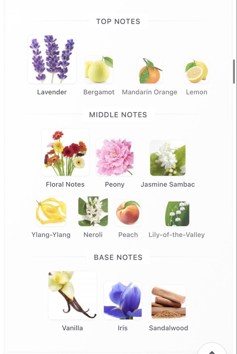 Guerlain Profumi & Eau de Toilette: Mon Guerlain Florale Eau de Parfum, 50 ml – Usato da Zürich venduto da Thetimtam 5