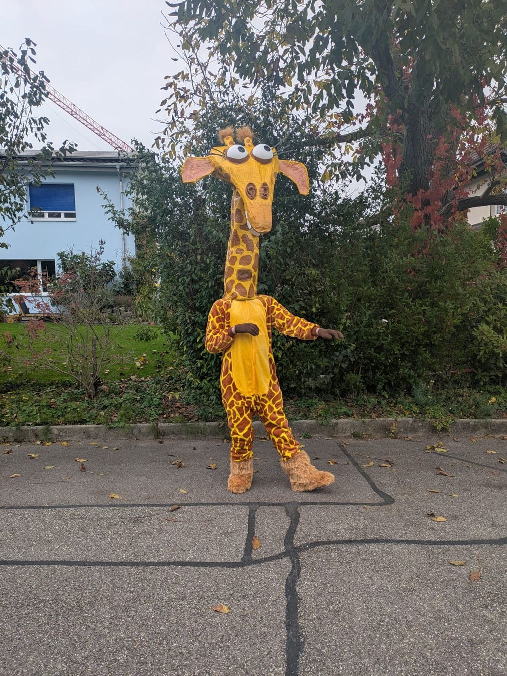 Costumi: Melman aus Madagascar Fasnachtskostüm – Usato da Gerlafingen venduto da Remo96