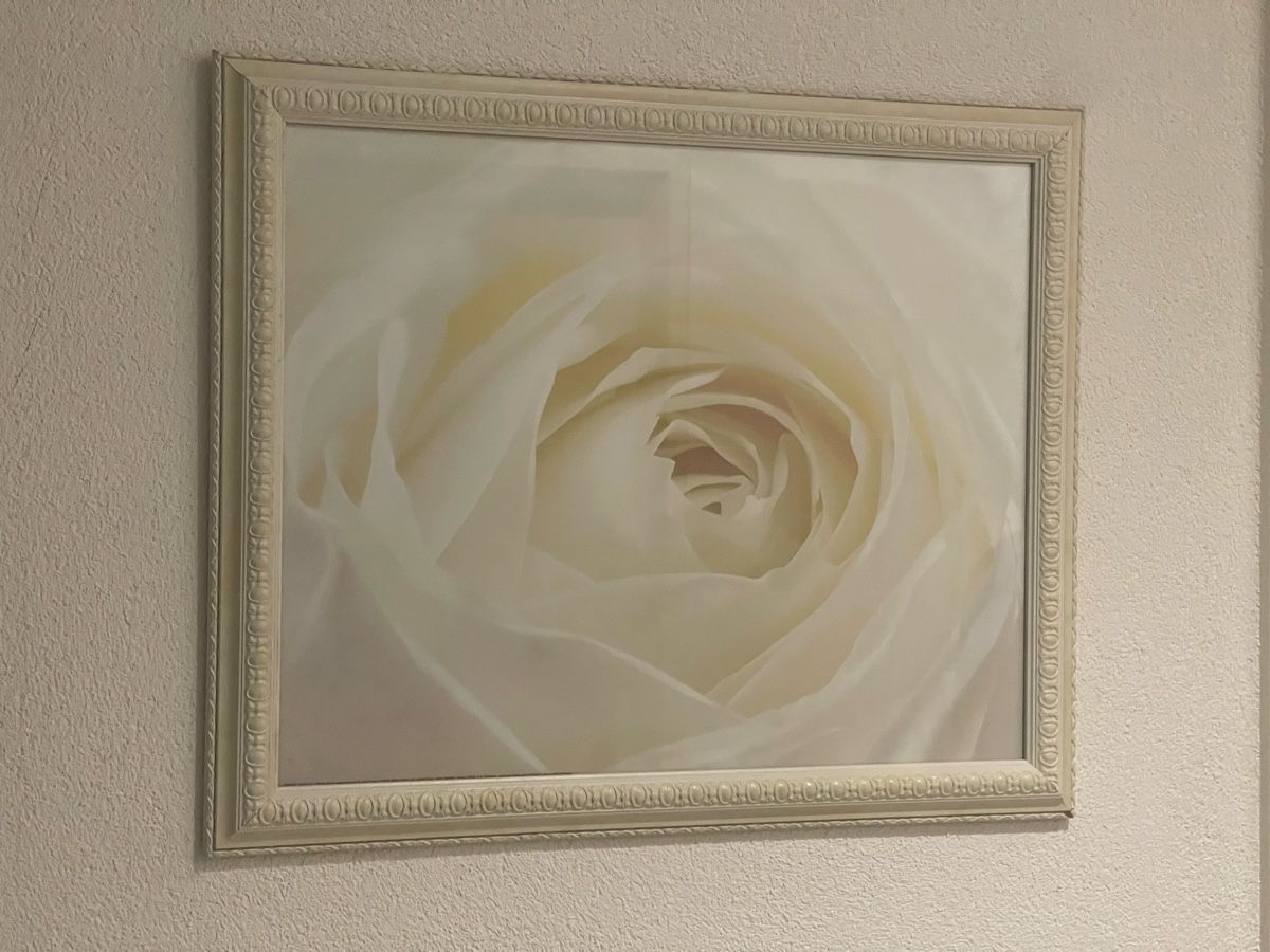 Posters & Illustrations: Rosenbild mit Rahmen – D'occasion à Adliswil par JadrankaR