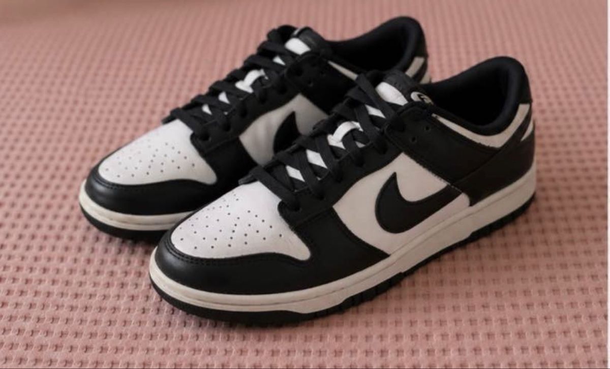 Nike Chaussures hommes: Nike DUNK – Neuf (Voir description) à Aadorf par anasofia_9