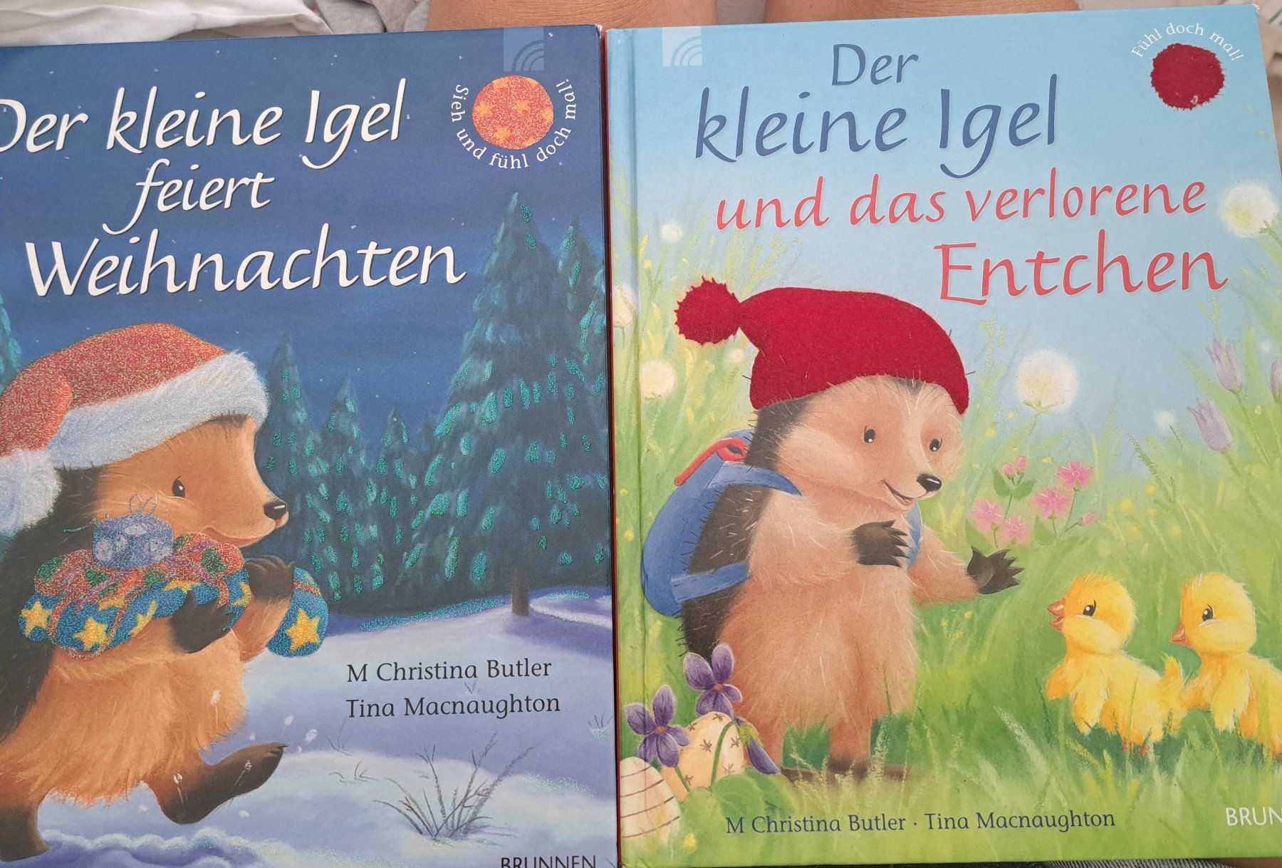 Libri: Bücher kleiner Igel A4grösse Hardcouver – Usato da Dietikon venduto da nat_jwf5