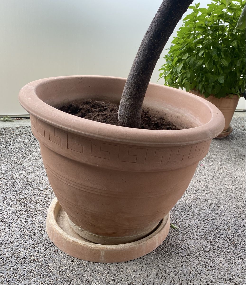 Vasi per fiori: Blumentopf aus Kunststoff mit Untersatz – Usato da Bern venduto da flo018 1
