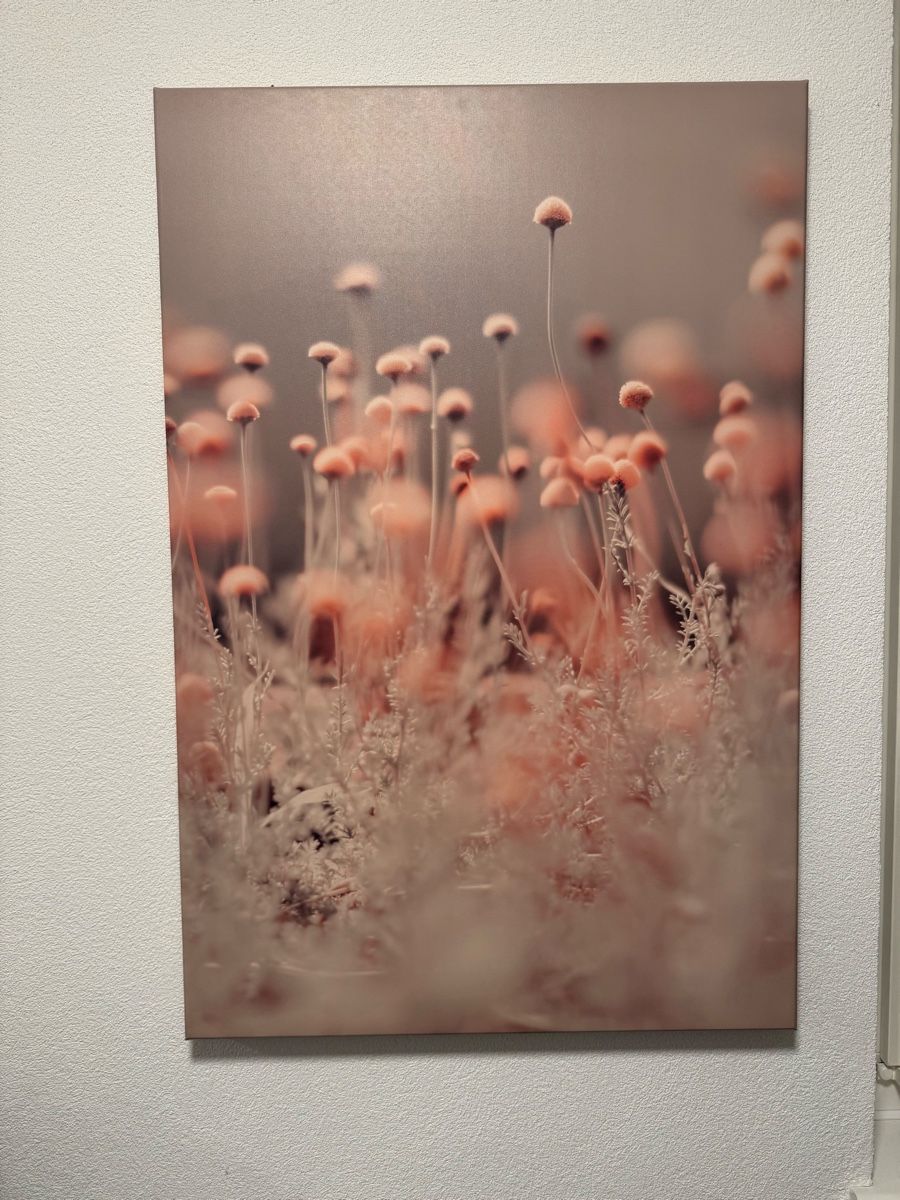 Foto & Immagini: Leinwandbild 60x90cm – Usato da Buchs ZH venduto da claudiac76