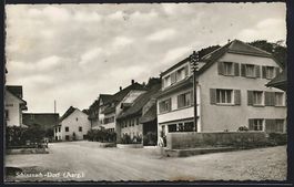 Schinznach-Dorf, Strassenpartie mit Gast