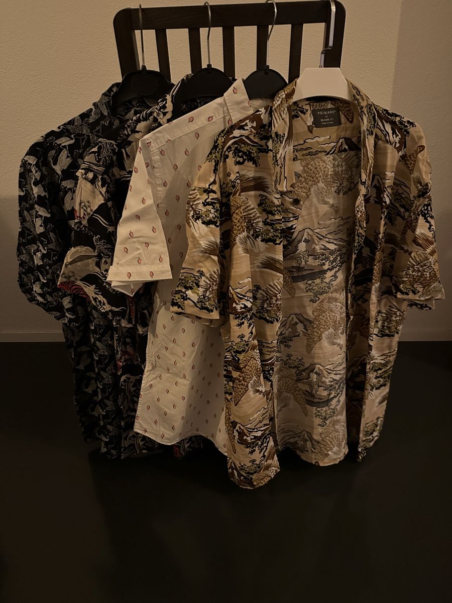 Camicie: 4x Coole Sommerhemden – Usato da Schlieren venduto da James1010