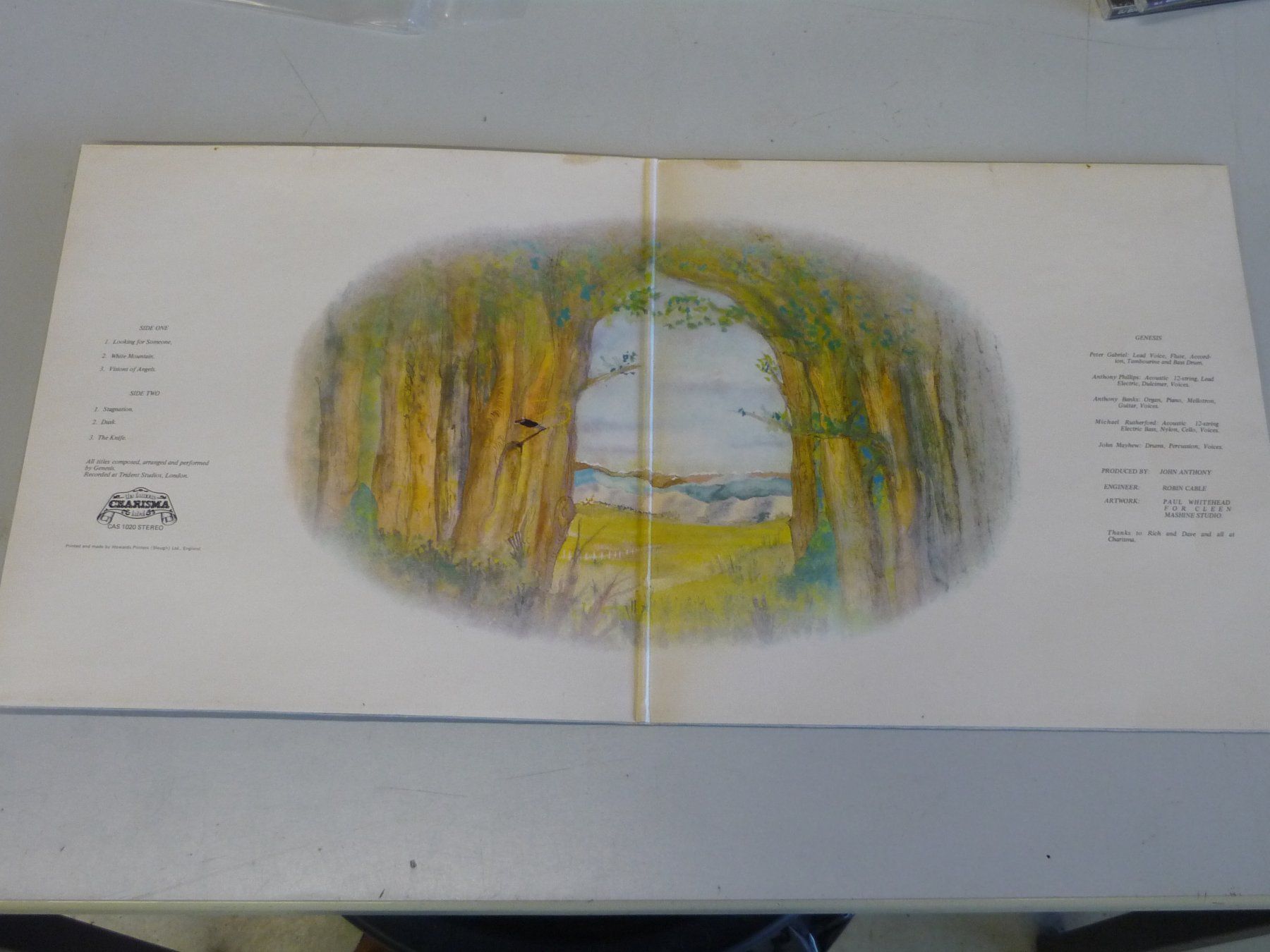 Schallplatten: Genesis - Trespass  - LP Schallplatte Vinyl – Gebraucht aus Beringen von Flatretriever 2