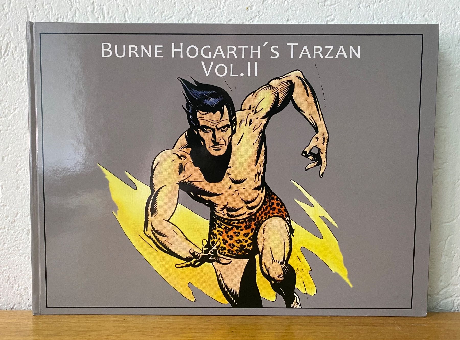 Fumetti: Burne Hogarth's Tarzan Vol. 1 bis 4 – Usato da Münsingen venduto da kempes 1