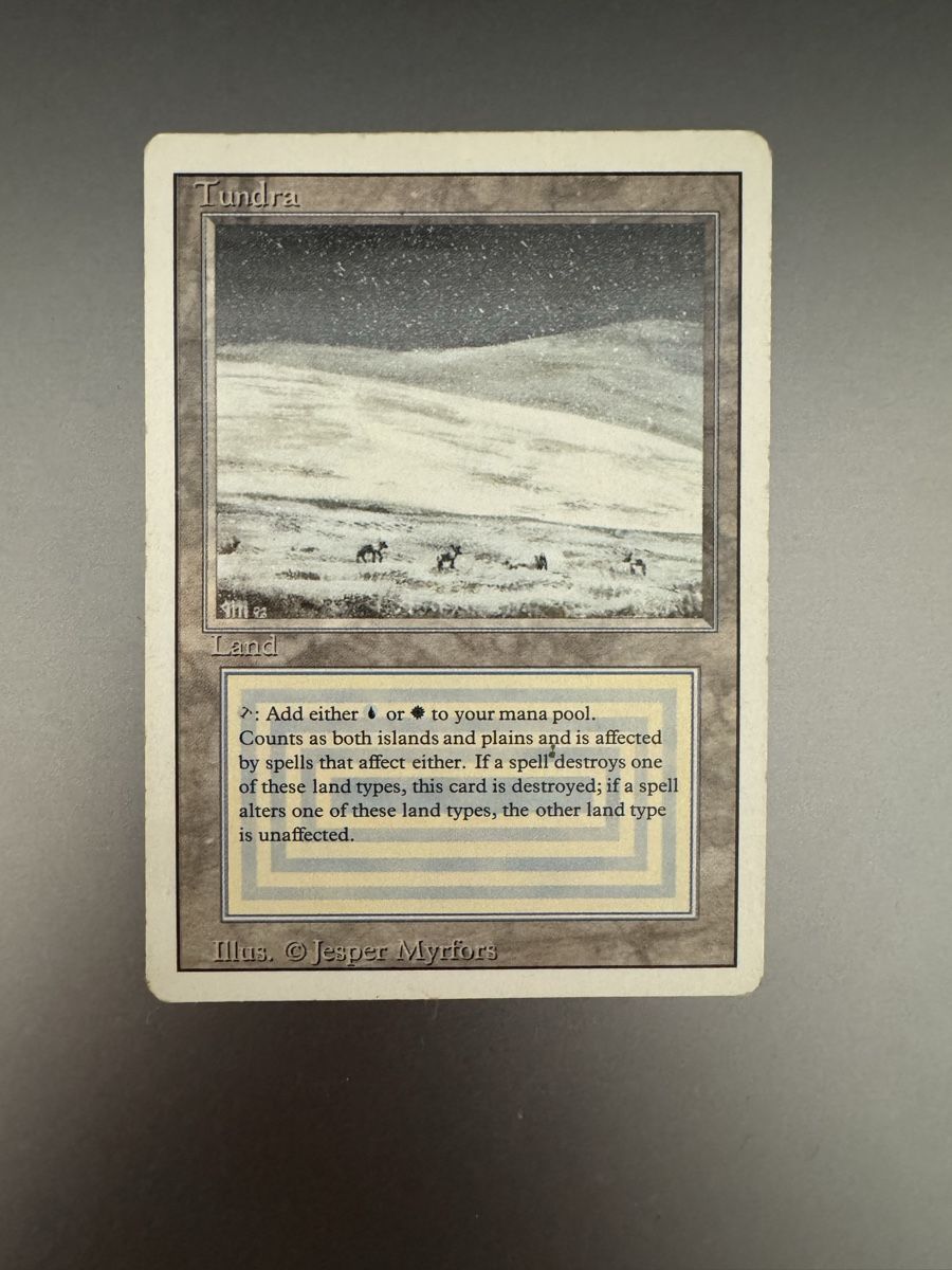 Cartoline: Magic The Gathering - Tundra – Usato da Schlieren venduto da Jairo3