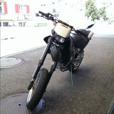 Profile image of DarkDog01