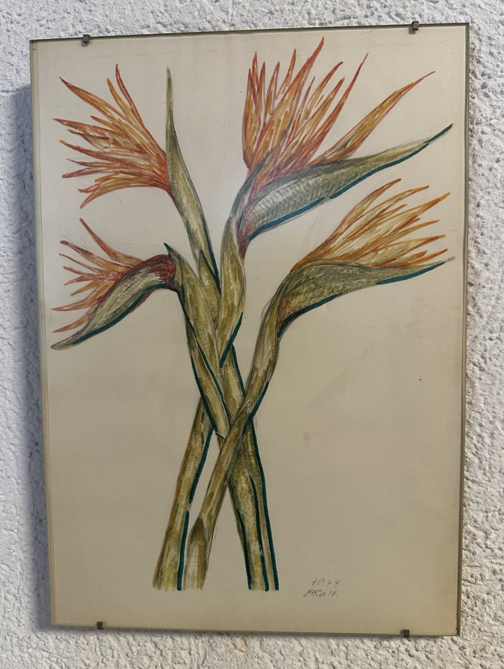 Foto & Immagini: Blumenbild Handzeichnung – Usato da Leibstadt venduto da hjk_2025