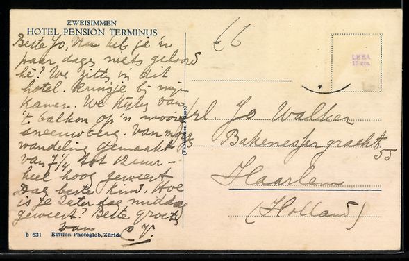 Cartoline postali: AK Zweisimmen, Hotel Pension Terminus – Usato da Berlin venduto da bartko-reher 1