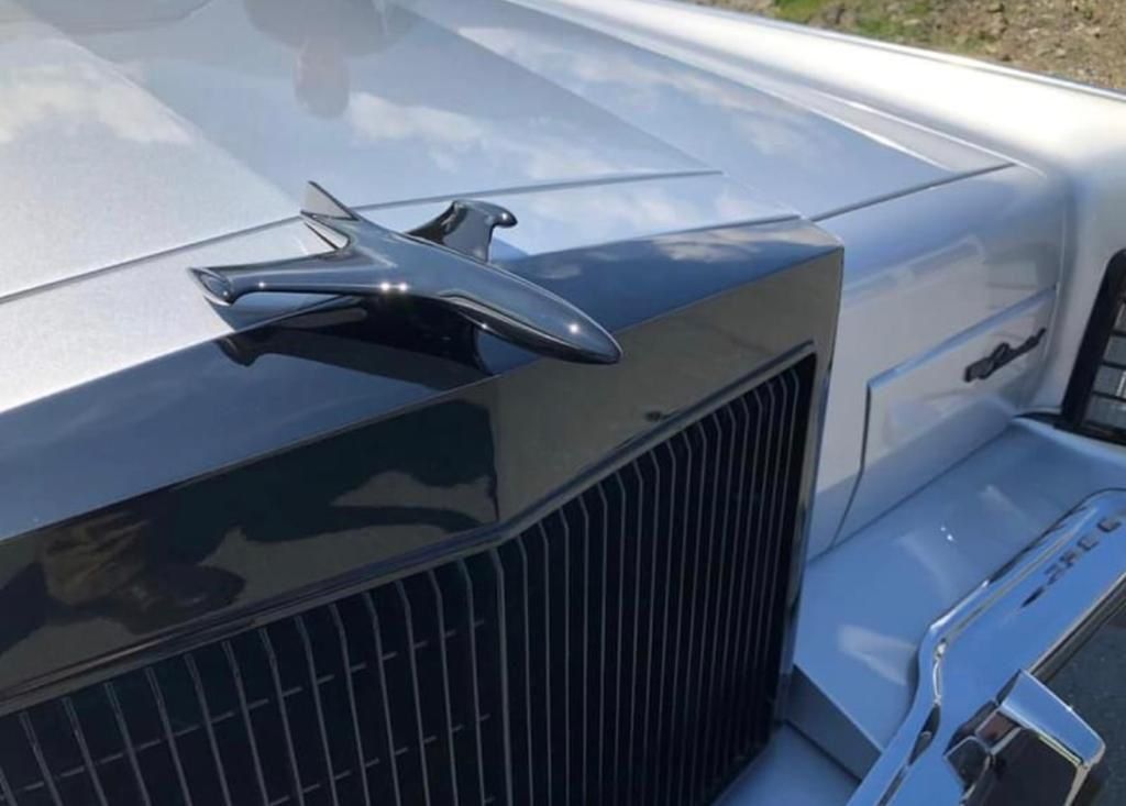 Ford (Usa) Automobili: LINCOLN CONTINENTAL MOLONEY SPECIAL EDITION – Usato da Val-d'Illiez venduto da LuckLuc 2