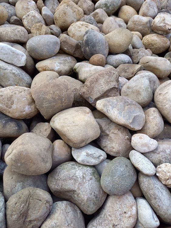 Flusssteine/Bollersteine Kaufen auf Ricardo