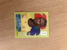 RSA 19 - Mohau Nkota - Panini WM 2026