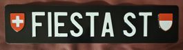 Aluminium Fiesta St Schild