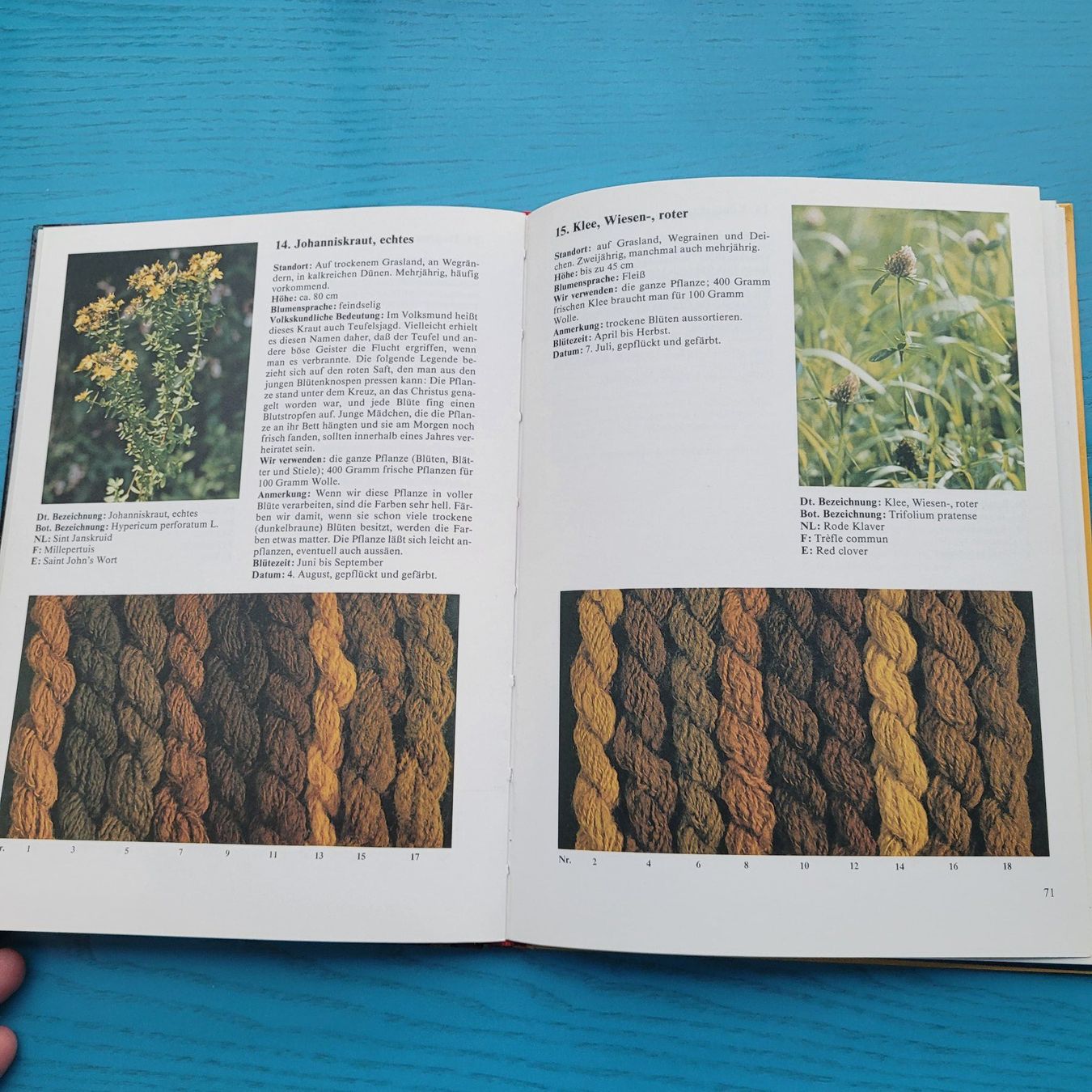 Libri: Wolle färben mit Naturfarben- Iet van de Vrande – Usato da SCHÜBELBACH venduto da CoKaHa 7