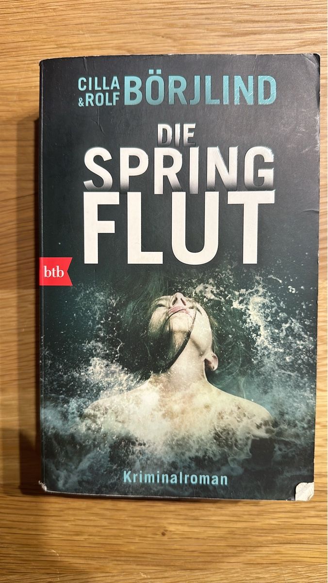 Libri: Spannender Krimi: "Die Springflut" – Usato da Münsingen venduto da Sim2977